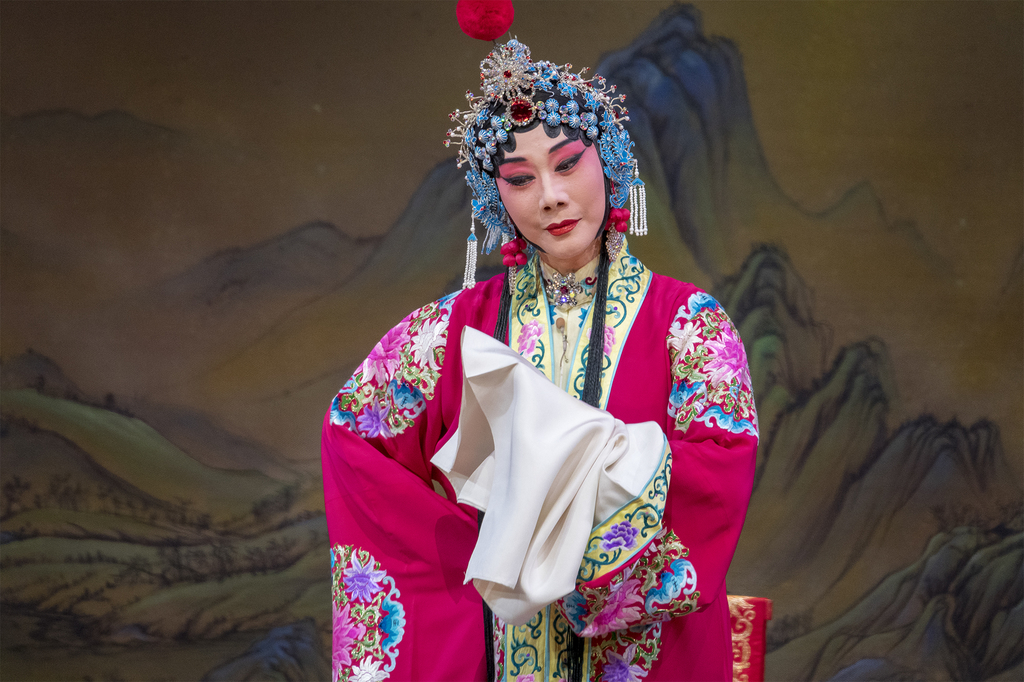 观戏记录——京剧"安国夫人"