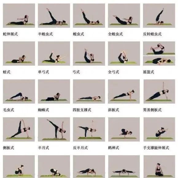 瑜伽入门基本动作12式图片