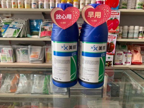 先正达专利杀菌剂美甜中国上市,实现市场口碑双丰收!