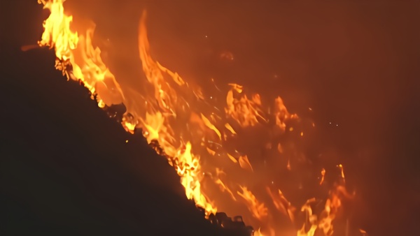 受不实信息误导,加州2名老人葬身火海