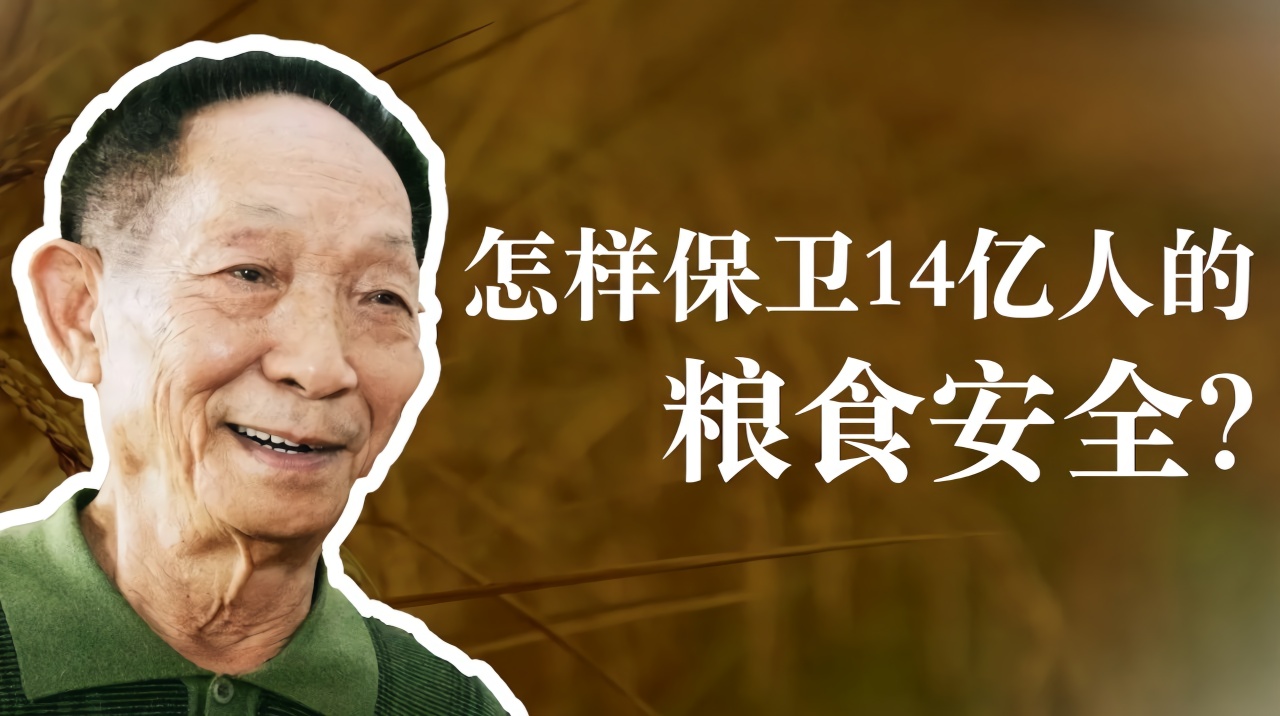 怎样保证14亿人的粮食安全？