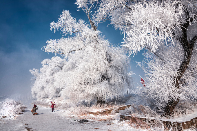 吉林雾凇岛，昙花一现的冰雪世界，梦境般的世外桃源！__凤凰网
