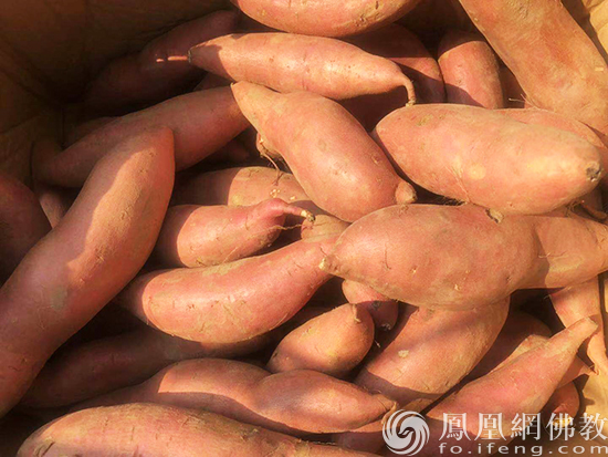 多吃这五种红色食物 养胃健康味道好