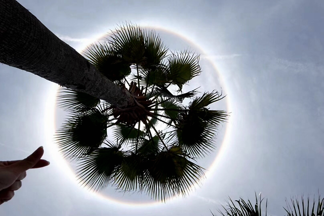 惊艳绝美的日晕,这几天!