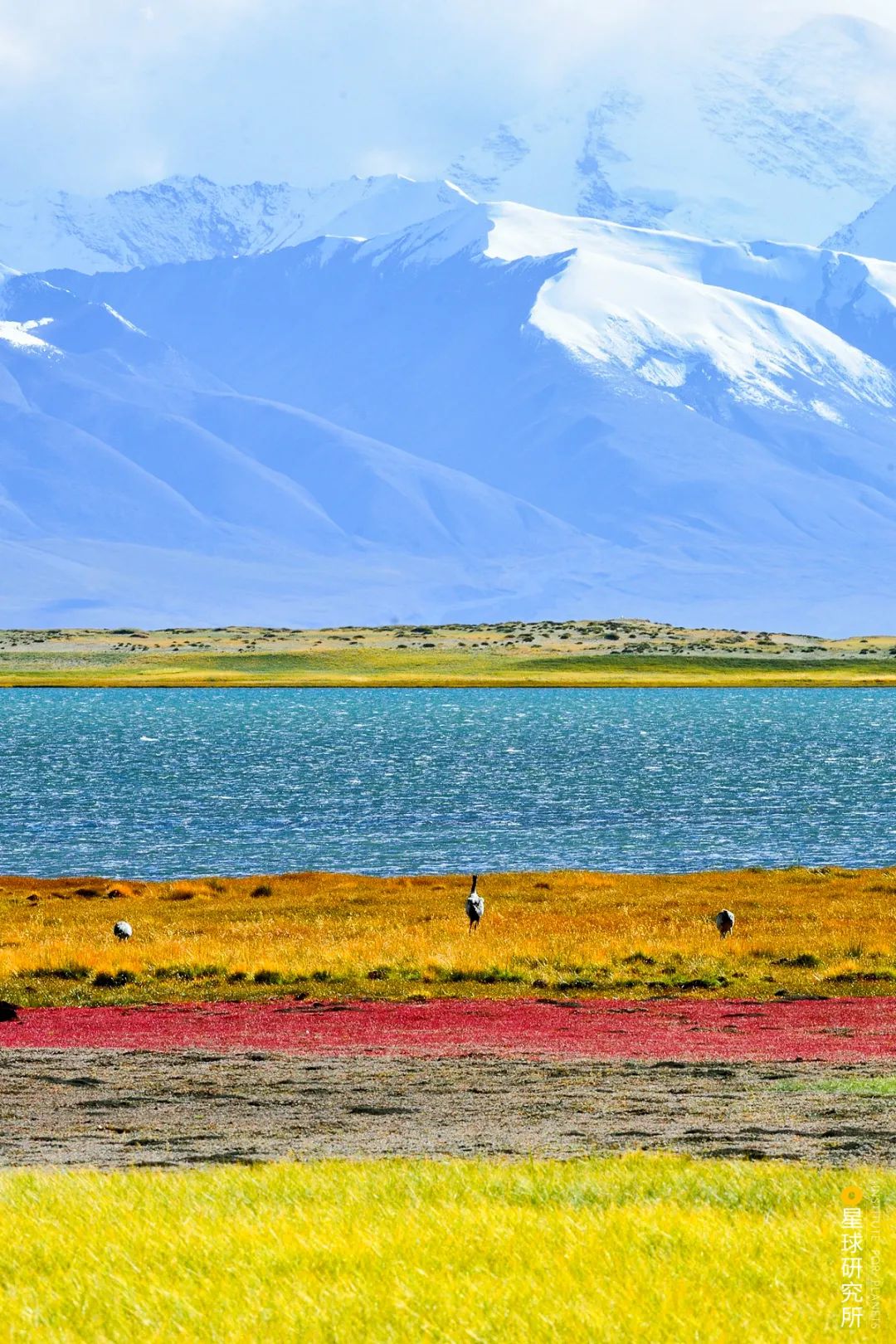 中国西部,何止天空之镜