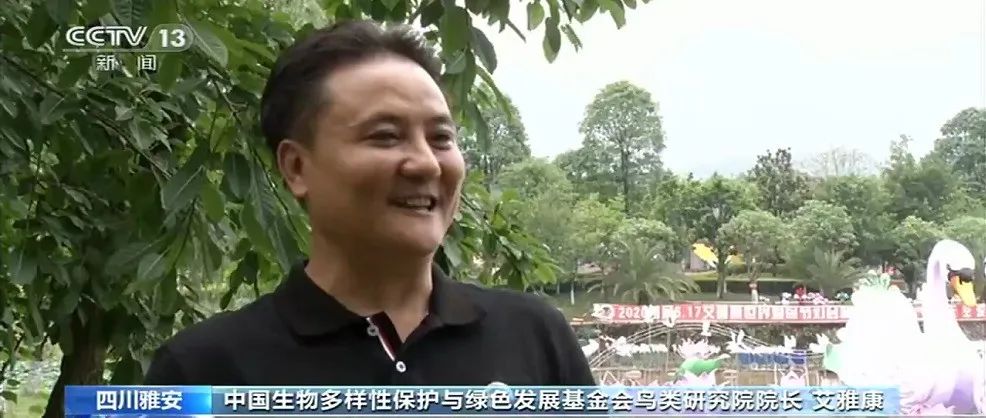 央视报道 | 绿会鸟类生物多样性保护研究院院长艾雅康:促人鸟和谐共生