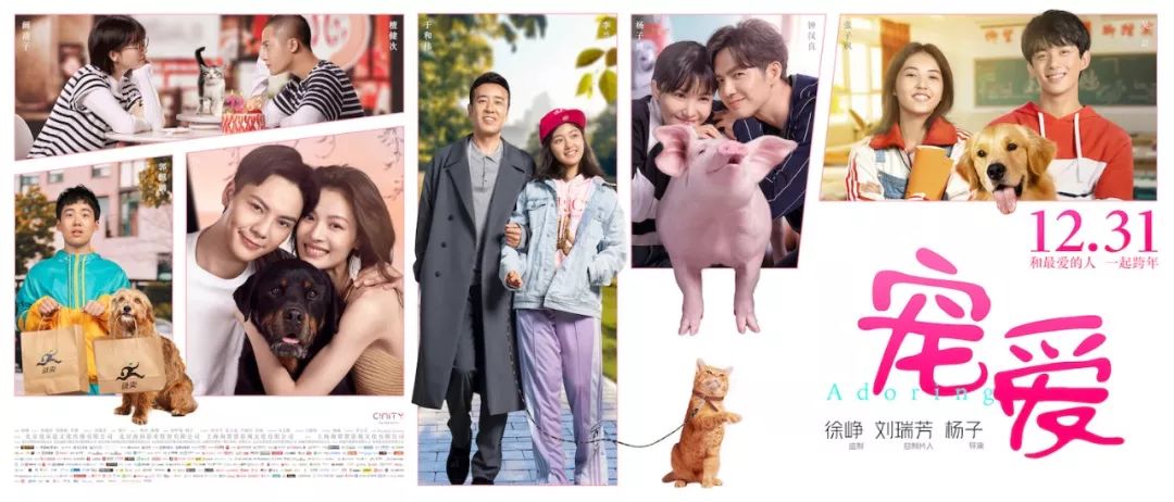 《宠爱》票房破5亿!没想到一部宠物合家欢电影也能商业大成功__凤凰网