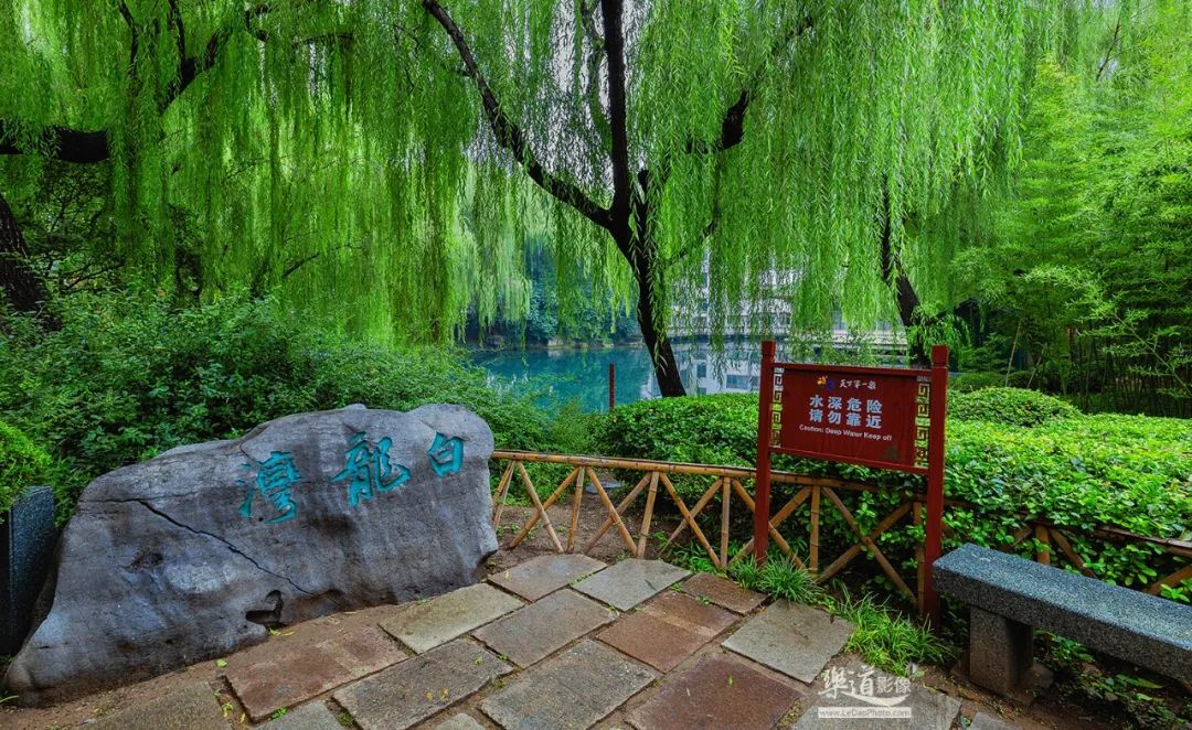 幽静的东高泉,缓慢的水流形成一个水漩涡.