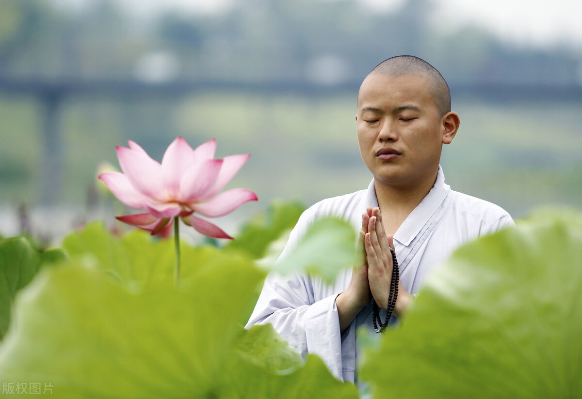 海涛法师一心念佛与菩萨道的践行实修