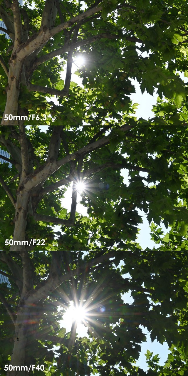 尼康Z DX 16-50mm f/3.5-6.3 VR测试