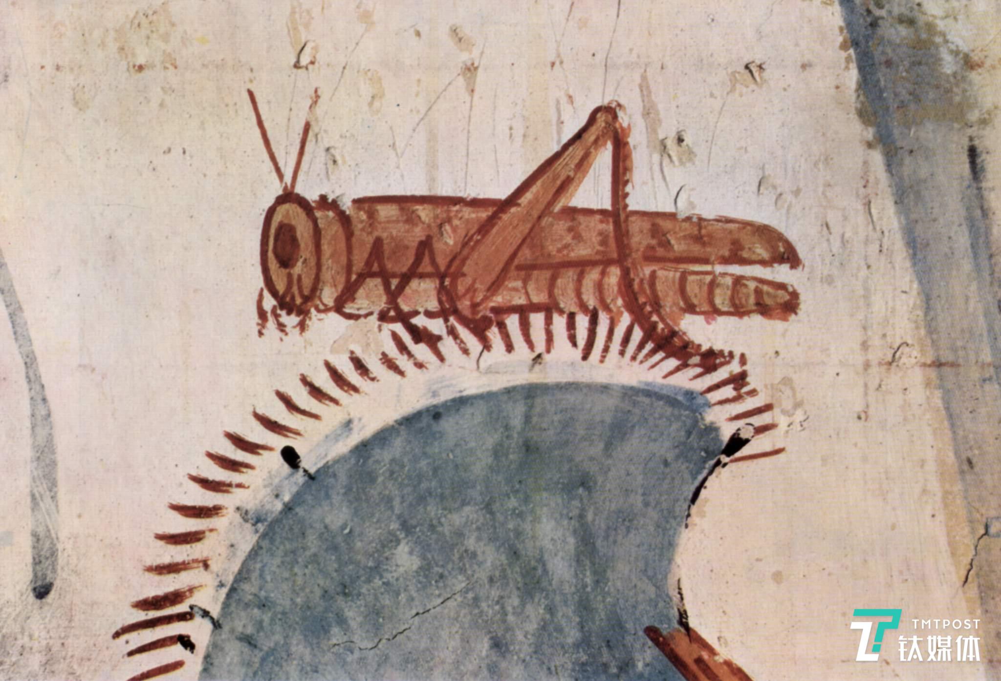 9EE22D3EC1F14B5B5E362927D81AF08ECEDD869A_size246_w2048_h1395.jpeg