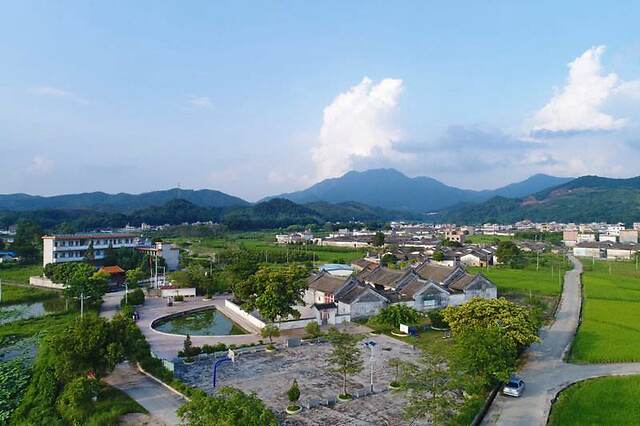 尉氏县岗李乡把绿色产业做成富民产业