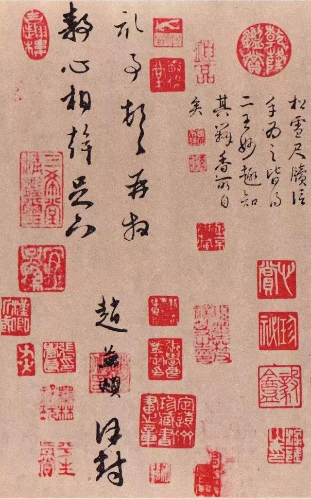 赵孟頫罕见草书作品你见过吗上面盖满印章珍贵程度可见一斑