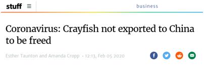 上百吨活龙虾出口中国受阻，新西兰选择将其部分放回海里
