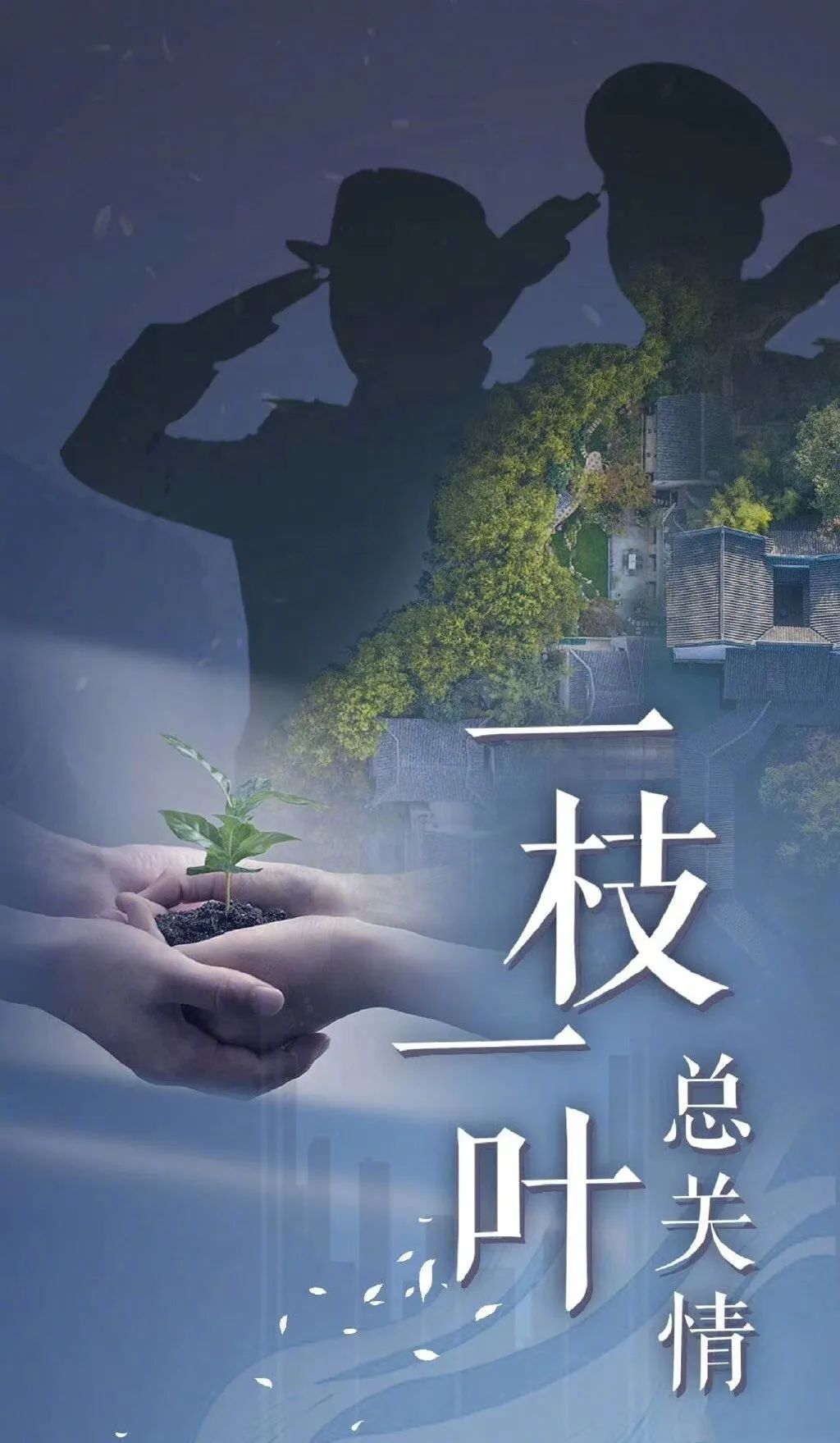 一刀天堂孙俪赵又廷理想之城张丰毅一枝一叶总关情乔杉约定之年夜饭等