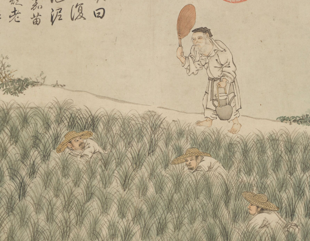 劳动二耘是除掉芦苇,莎草等杂草所以要铲除荑稗稂莠杂草不能跟秧苗抢