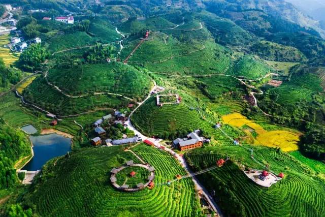 大仙峰·茶美人:"国家aaaa级旅游景区"位于大田县屏山乡内样村,最高