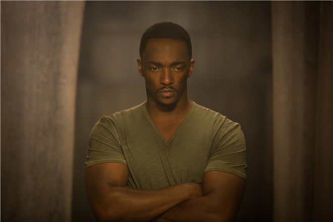 猎鹰演员炮轰漫威黑豹就是种族歧视