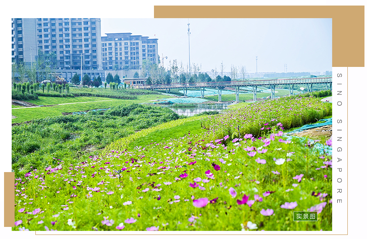 剧透!韩仓河生态景观带日渐丰盈