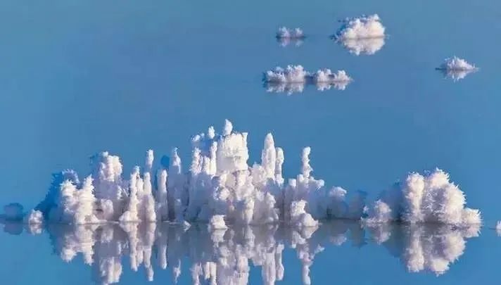 新疆盐湖“开花”,或许是你从未见过的美景。_凤凰网