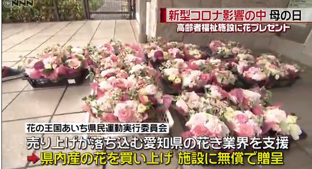 中国和日本的母亲节都是同一天……（中国和日本的节日）