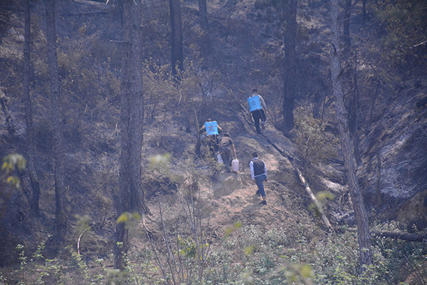 西昌森林十年内已发生四次大火 专家曾建议分割林区