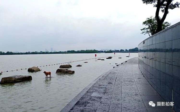 滆湖——美丽的湿地__凤凰网