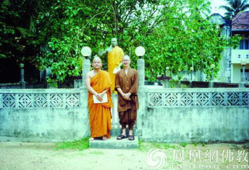 留学斯里兰卡的本性禅师(图片来源:凤凰网佛教 王枫涛提供)