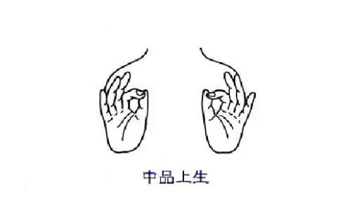 定印又称上品印,多见在阿弥陀佛的坐像中,两手手心向上相迭,拇指和