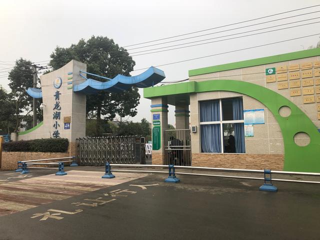 龙泉驿青龙湖小学创生态智慧校园做生态环境教育主力军