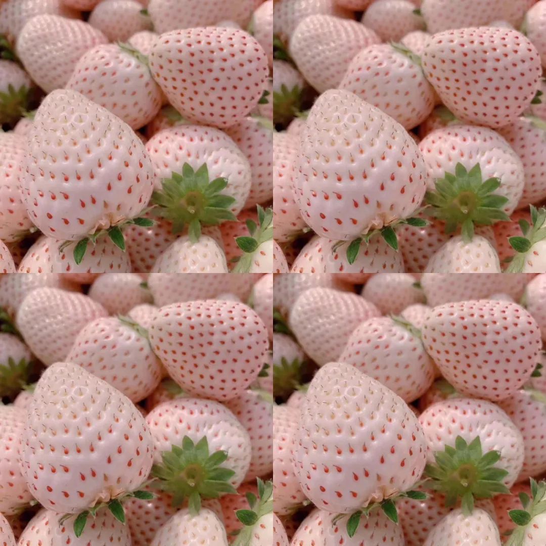 水果 草莓52901_草莓特写_收获季节_图库壁纸_68Design