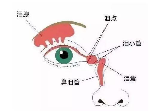 眼睛里藏着大秘密经常流泪要注意小心你是被它选中的人