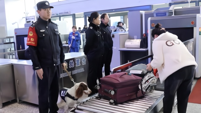 工作卖萌两不误，警犬春运巡逻查危