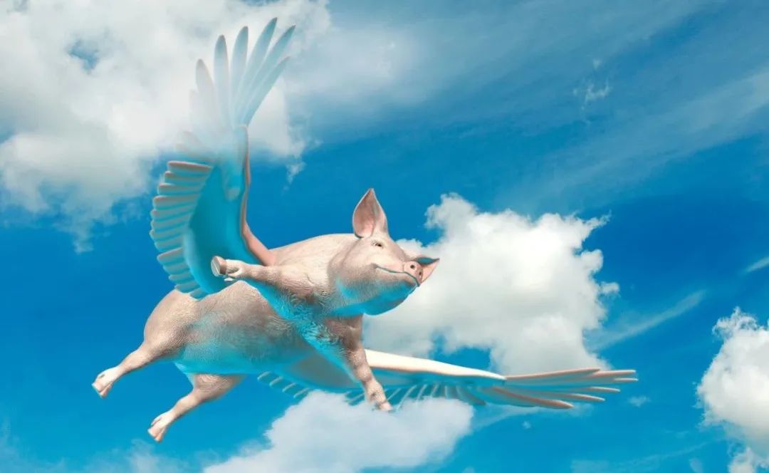 千家房企冲进猪圈,但行业大低谷正到来_凤凰网财经_凤凰网