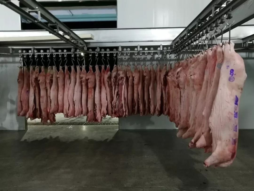 贵农肉类交易市场日均供应白条猪高达500头