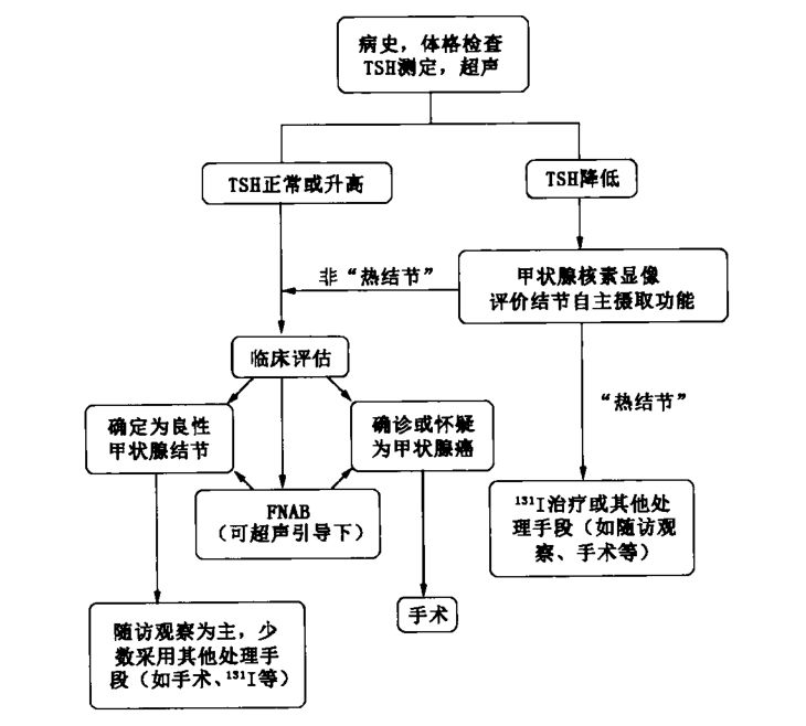 9个问答全面了解甲状腺结节附诊疗流程图