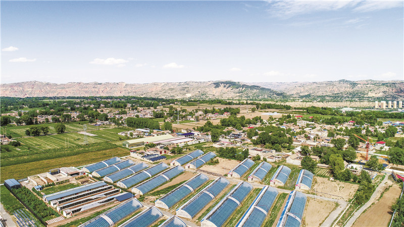 魅力临夏县 | 平伙 流传于北塬乡村的古老aa制