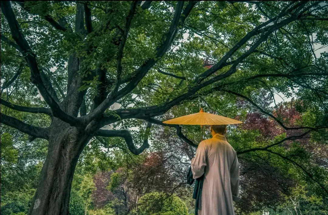 我们学佛修行人为什么要恭敬僧宝?