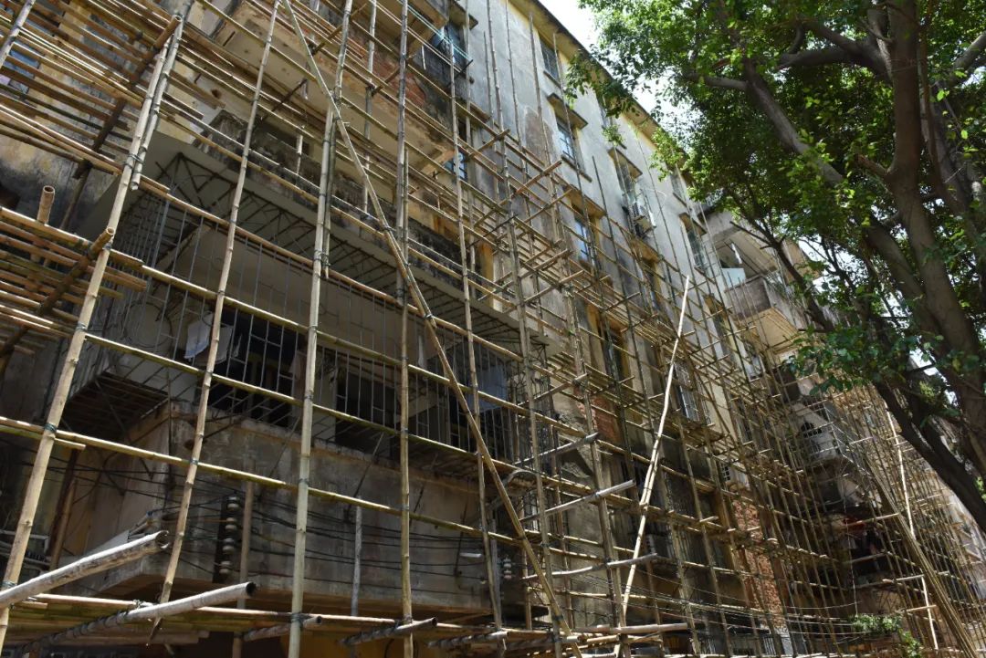 外墙排栅已搭建好.图源:端州发布