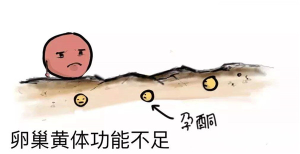 国际试管助孕（试管婴儿移植后黄体功能不足会引起胚胎停育么）