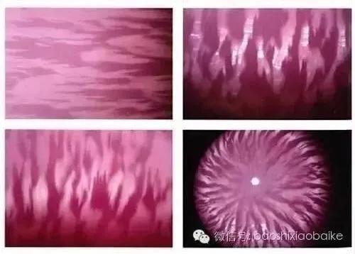 “稀世珠王”孔克珠为何如此珍贵？__凤凰网