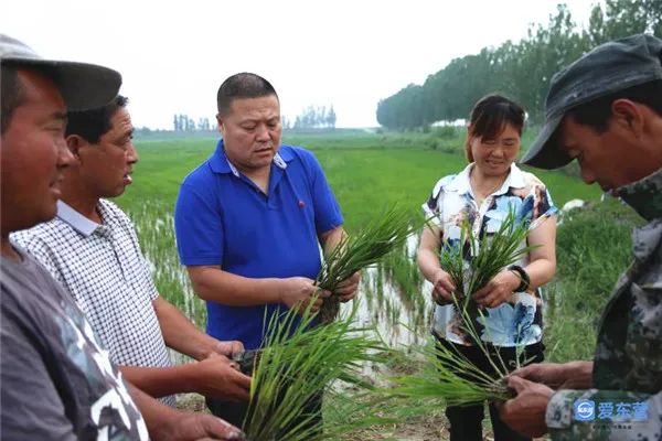郭孝名（中）和合作社成员研究水稻秧苗的长势。