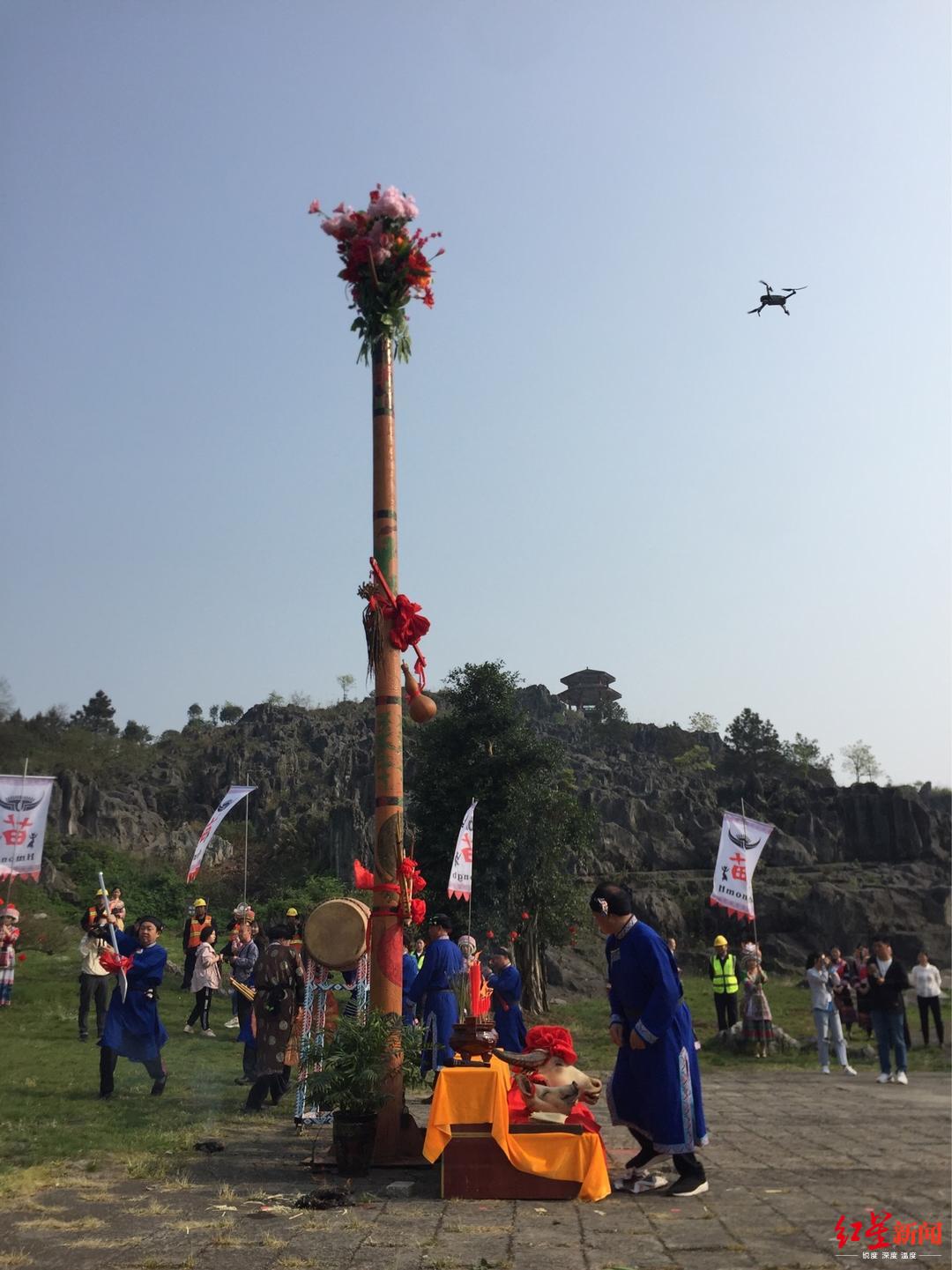 踩花山祭花杆興文苗族花山節首次雲端向全球直播