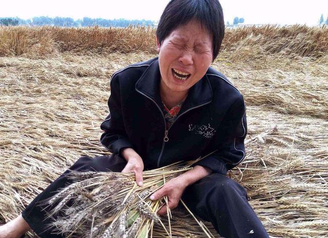 一家3口"组团啃老",6旬老母亲含泪控诉:钱只能不停往外掏