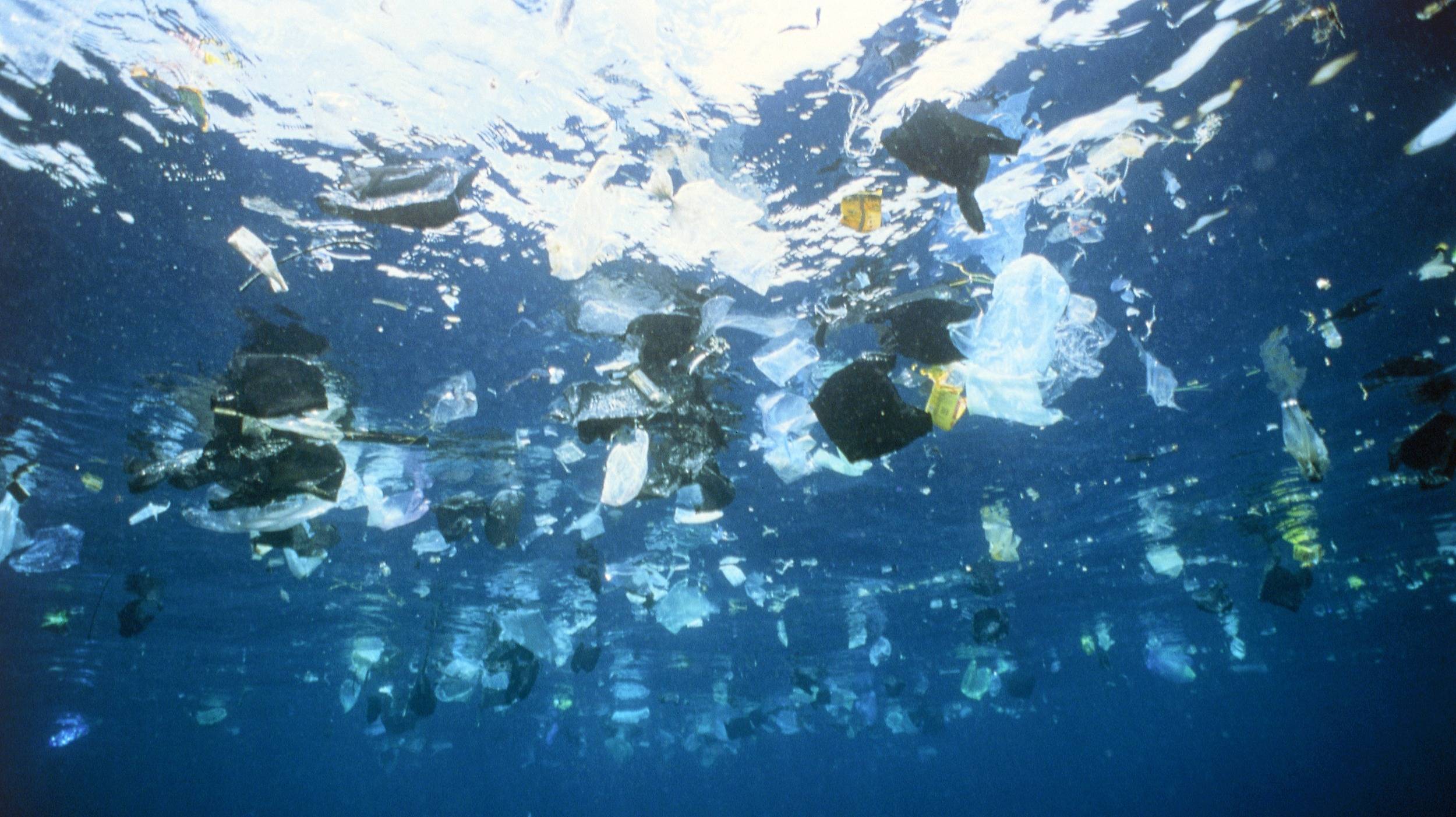 Человек в тихом океане. Пластик в океане. Мусор в мировом океане. Пластиковое загрязнение океана. Мусорный остров в тихом океане.