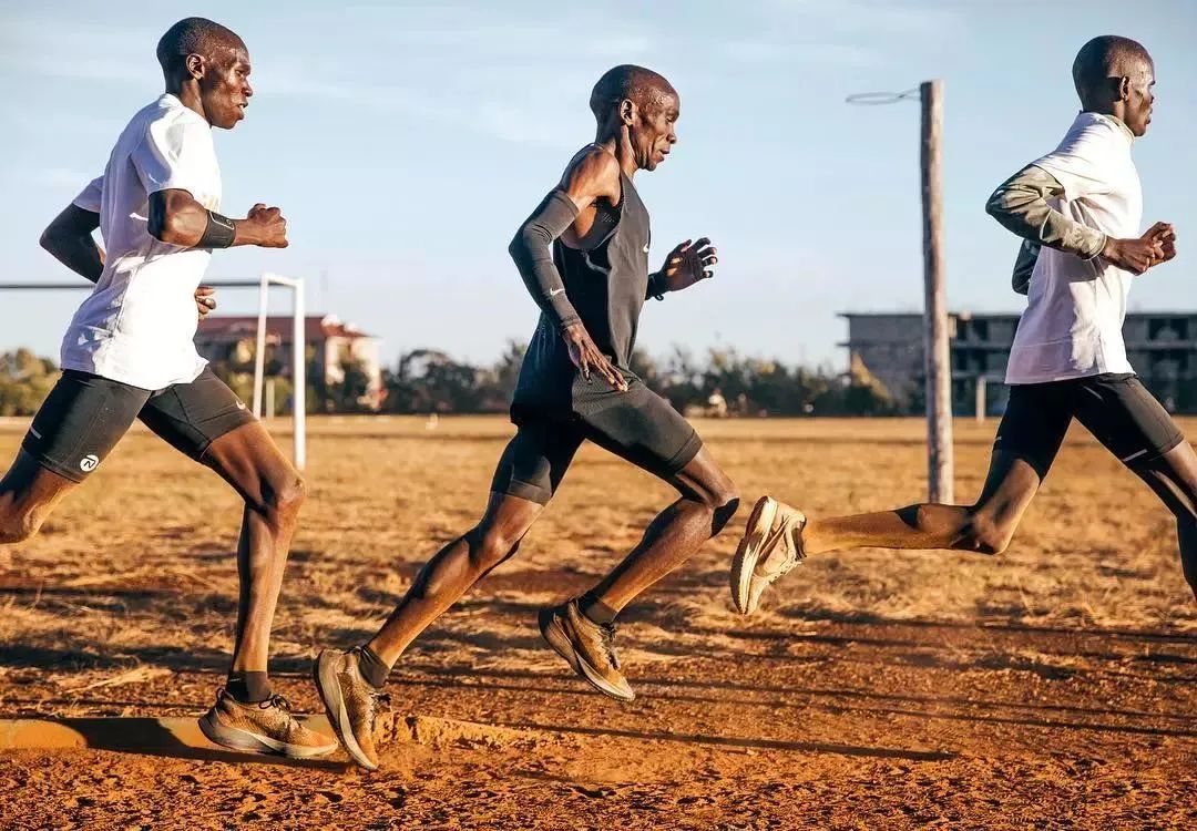 我们会经常强调随着运动诱导的心脏重构程度增加发生心律失常的潜在