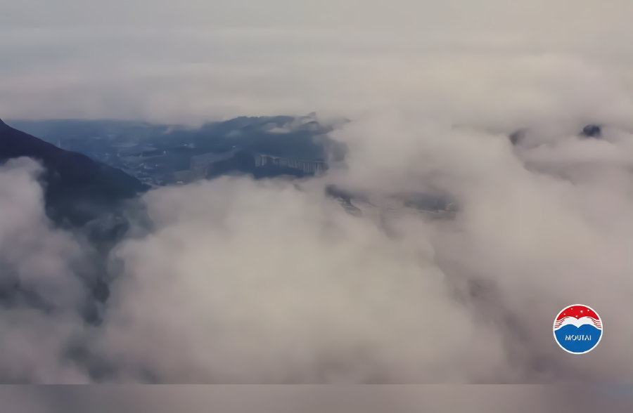 走近品牌：茅台集团