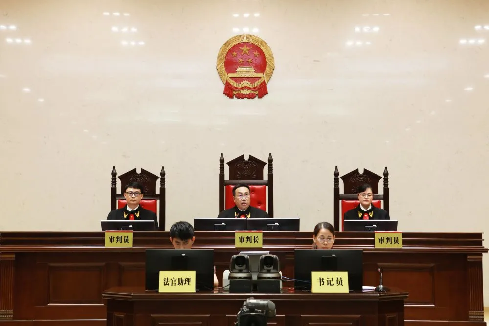 非法收受6667万余元湖南省人大常委会原副主任向力力一审获刑15年