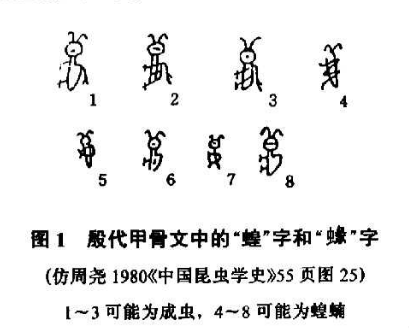 恳请大家别再对非洲沙漠蝗流口水了！_凤凰网