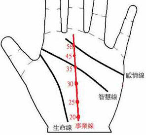 手掌中黄金线图解图片